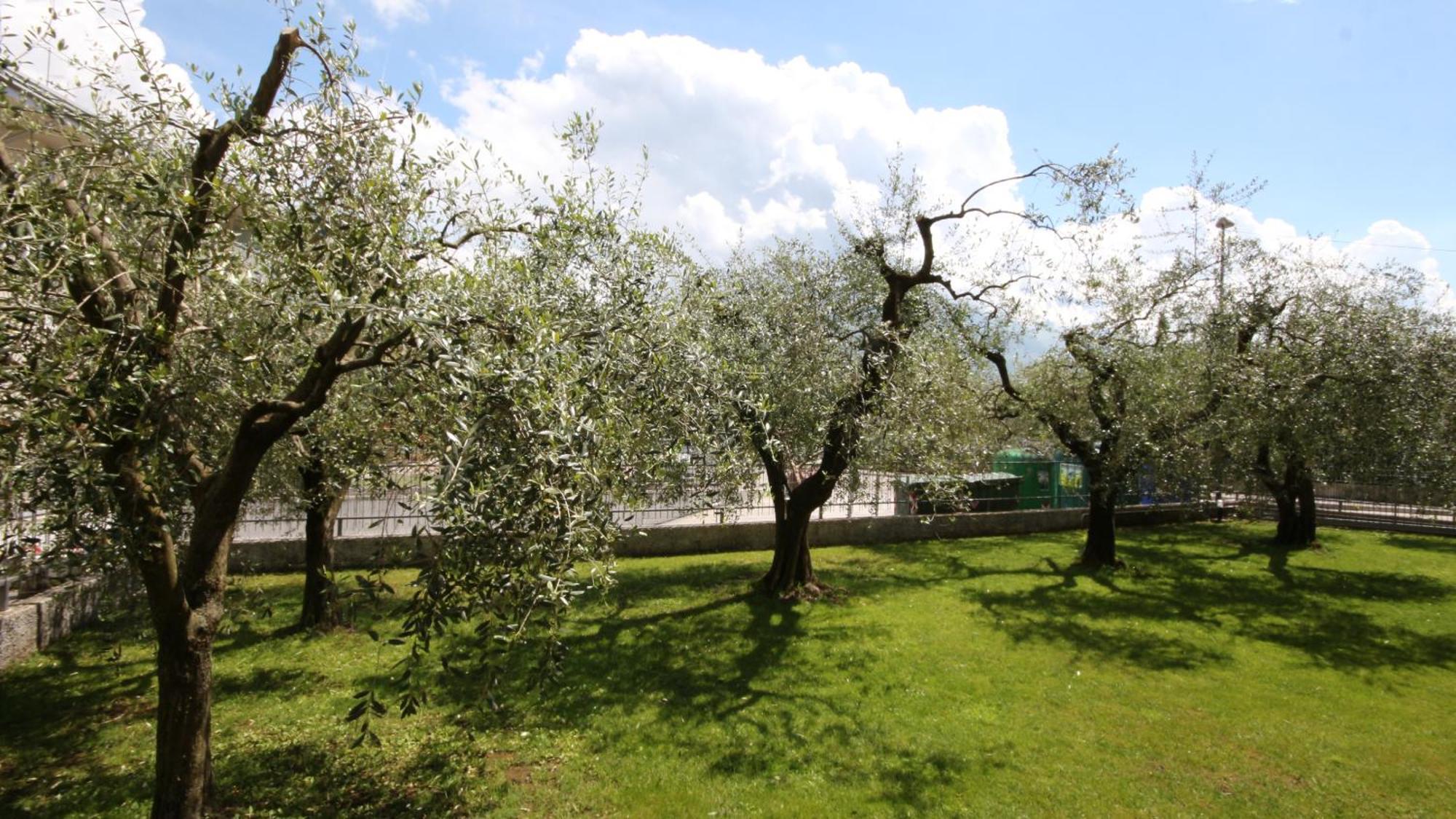 B&B Casa Wanda Since 1999 Riva del Garda Værelse billede